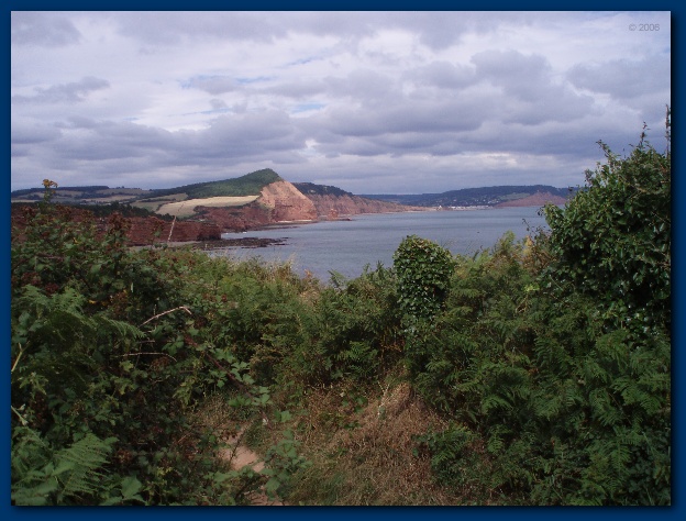 600x449 pixels (135K)